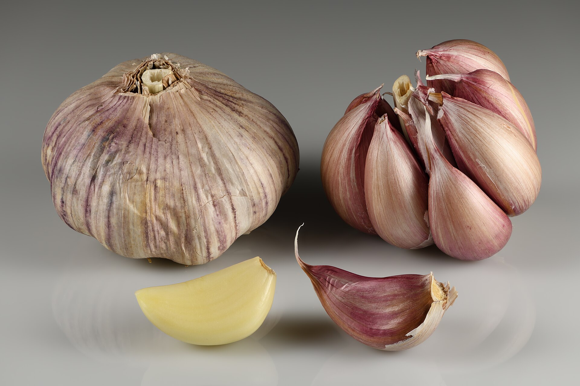 Is this a proper divided bulb, or a single round?